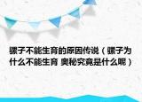 騾子不能生育的原因傳說（騾子為什么不能生育 奧秘究竟是什么呢）