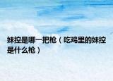 妹控是哪一把槍（吃雞里的妹控是什么槍）