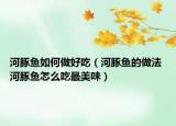 河豚魚如何做好吃（河豚魚的做法 河豚魚怎么吃最美味）