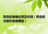 胃俞的準確位置及作用（胃俞的功能作用有哪些）