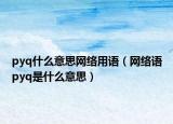 pyq什么意思網(wǎng)絡(luò)用語（網(wǎng)絡(luò)語pyq是什么意思）