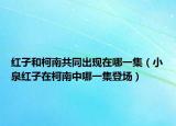 紅子和柯南共同出現(xiàn)在哪一集（小泉紅子在柯南中哪一集登場(chǎng)）