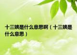 十三姨是什么意思?。ㄊ淌鞘裁匆馑迹? /></span></a>
                        <h2><a href=