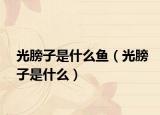 光膀子是什么魚(yú)（光膀子是什么）