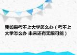 我如果考不上大學怎么辦（考不上大學怎么辦 未來還有無限可能）