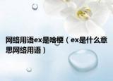 網(wǎng)絡(luò)用語ex是啥梗（ex是什么意思網(wǎng)絡(luò)用語）