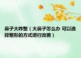 鼻子大咋整（大鼻子怎么辦 可以選擇整形的方式進(jìn)行改善）