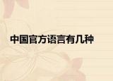 中國官方語言有幾種