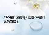 CAS是什么簡寫（出國cas是什么的簡寫）