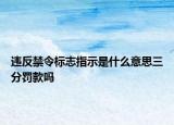 違反禁令標(biāo)志指示是什么意思三分罰款嗎