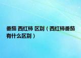 番茄 西紅柿 區(qū)別（西紅柿番茄有什么區(qū)別）
