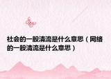 社會(huì)的一股清流是什么意思（網(wǎng)絡(luò)的一股清流是什么意思）