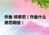 炸魚(yú) 啥意思（炸魚(yú)什么意思網(wǎng)絡(luò)）