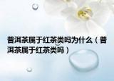 普洱茶屬于紅茶類(lèi)嗎為什么（普洱茶屬于紅茶類(lèi)嗎）