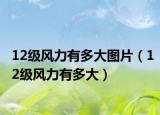 12級風(fēng)力有多大圖片（12級風(fēng)力有多大）
