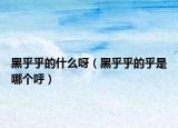 黑乎乎的什么呀（黑乎乎的乎是哪個呼）