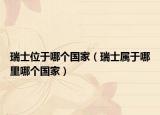 瑞士位于哪個(gè)國(guó)家（瑞士屬于哪里哪個(gè)國(guó)家）