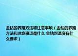 金鉆的養(yǎng)殖方法和注意事項(xiàng)（金鉆的養(yǎng)殖方法和注意事項(xiàng)是什么 金鉆對溫度有什么要求）