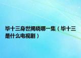 畢十三身世揭曉哪一集（畢十三是什么電視?。? /></span></a>
                        <h2><a href=