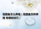地圖魚(yú)怎么養(yǎng)殖（地圖魚(yú)怎樣養(yǎng)殖 有哪些技巧）