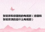 張銘恩和徐璐拍的電視?。ㄐ扈春蛷堛懚餮莸氖鞘裁措娨晞。? /></span></a>
                        <h2><a href=