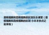 原核細(xì)胞和真核細(xì)胞的區(qū)別樂樂課堂（原核細(xì)胞和真核細(xì)胞的區(qū)別 小本本快點記起來啦）