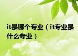 it是哪個專業(yè)（it專業(yè)是什么專業(yè)）