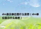 dm表示單位是什么意思（dm單位表示什么意思）