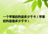 一個(gè)蘋果的熱量多少千卡（蘋果的熱量是多少千卡）