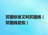 貧困標(biāo)準(zhǔn)又叫貧困線（貧困線是指）