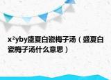 x2yby盛夏白瓷梅子湯（盛夏白瓷梅子湯什么意思）