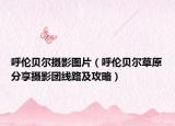 呼倫貝爾攝影圖片（呼倫貝爾草原分享攝影團(tuán)線路及攻略）