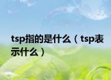 tsp指的是什么（tsp表示什么）