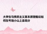大學(xué)生馬克思主義基本原理概論如何在考場(chǎng)小山上拿高分