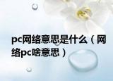 pc網(wǎng)絡意思是什么（網(wǎng)絡pc啥意思）