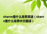 shame是什么意思英語（shame是什么意思中文翻譯）