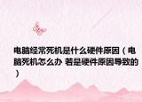 電腦經(jīng)常死機(jī)是什么硬件原因（電腦死機(jī)怎么辦 若是硬件原因?qū)е碌模? /></span></a>
                        <h2><a href=