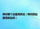 郴州哪個(gè)站是高鐵站（郴州西站是高鐵站嗎）