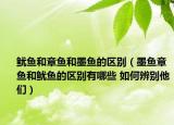 魷魚和章魚和墨魚的區(qū)別（墨魚章魚和魷魚的區(qū)別有哪些 如何辨別他們）