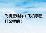 飛機是啥樣（飛機手是什么樣的）