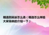 朗逸到底該怎么選（朗逸怎么樣給大家簡(jiǎn)單的介紹一下）