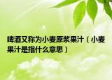 啤酒又稱為小麥原漿果汁（小麥果汁是指什么意思）