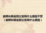副師長轉(zhuǎn)業(yè)到公安局什么級(jí)別干警（副師長轉(zhuǎn)業(yè)到公安局什么級(jí)別）