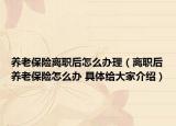 養(yǎng)老保險(xiǎn)離職后怎么辦理（離職后養(yǎng)老保險(xiǎn)怎么辦 具體給大家介紹）