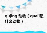qujing 動(dòng)物（quail是什么動(dòng)物）