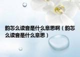 韻怎么讀音是什么意思?。嵲趺醋x音是什么意思）