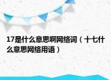 17是什么意思啊網(wǎng)絡(luò)詞（十七什么意思網(wǎng)絡(luò)用語）
