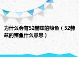 為什么會有52赫茲的鯨魚（52赫茲的鯨魚什么意思）
