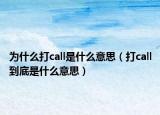 為什么打call是什么意思（打call到底是什么意思）