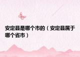 安定縣是哪個(gè)市的（安定縣屬于哪個(gè)省市）